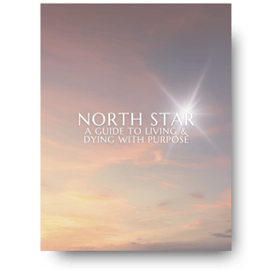 NSG Promo Graphic